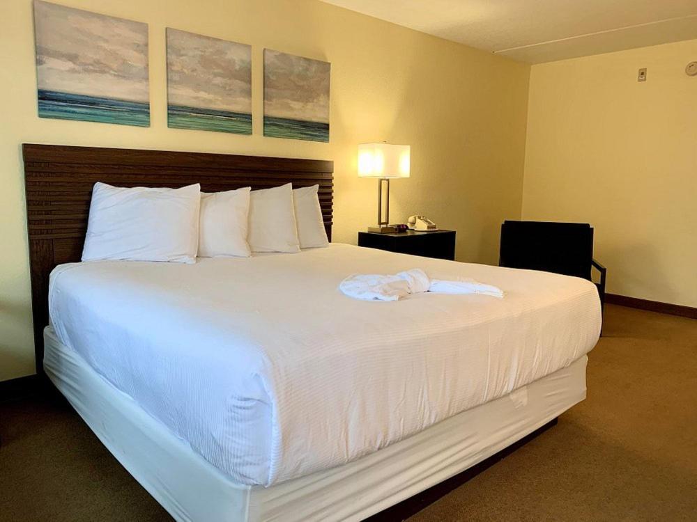 King Room Disability Access