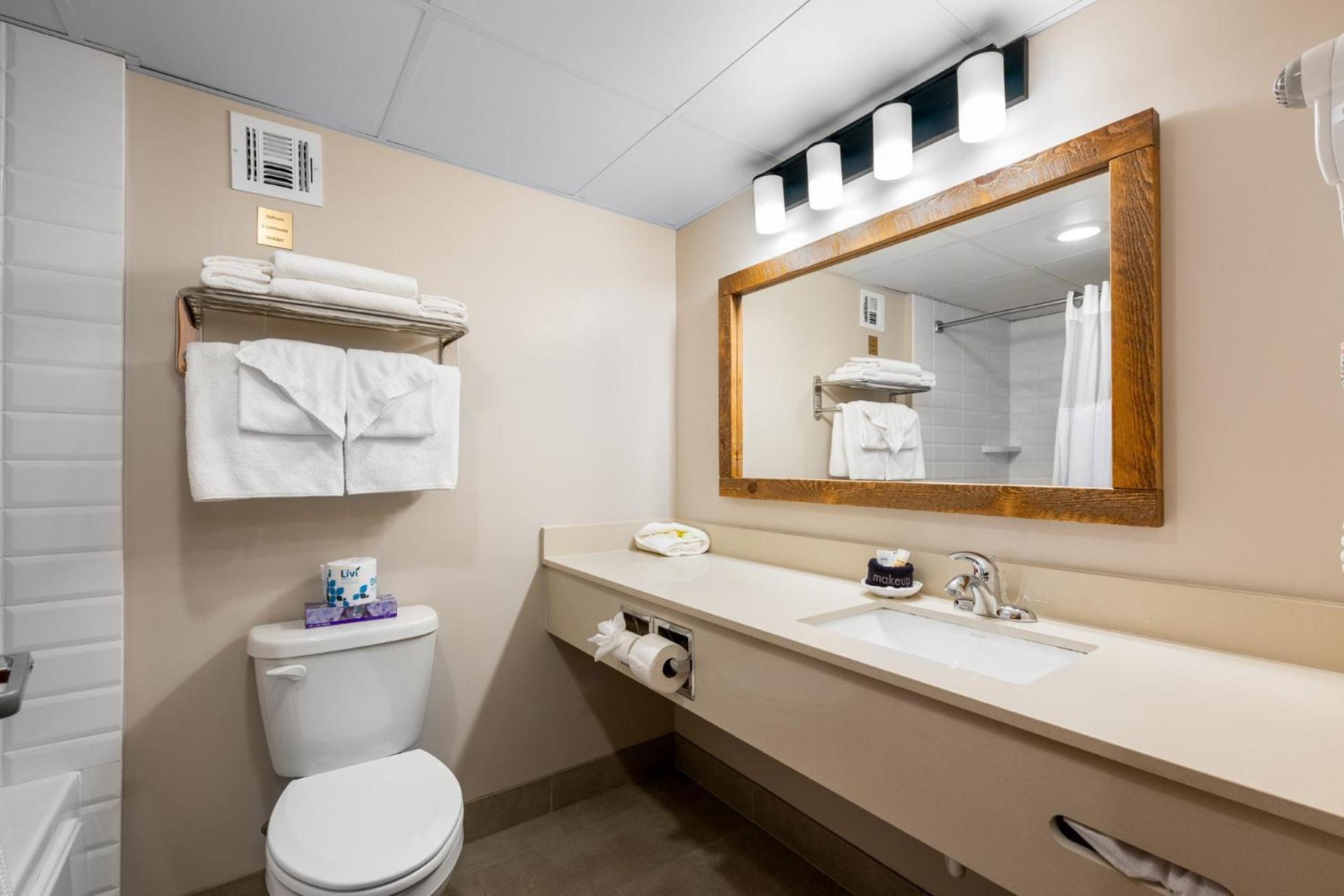 Standard King Room Spa Bath