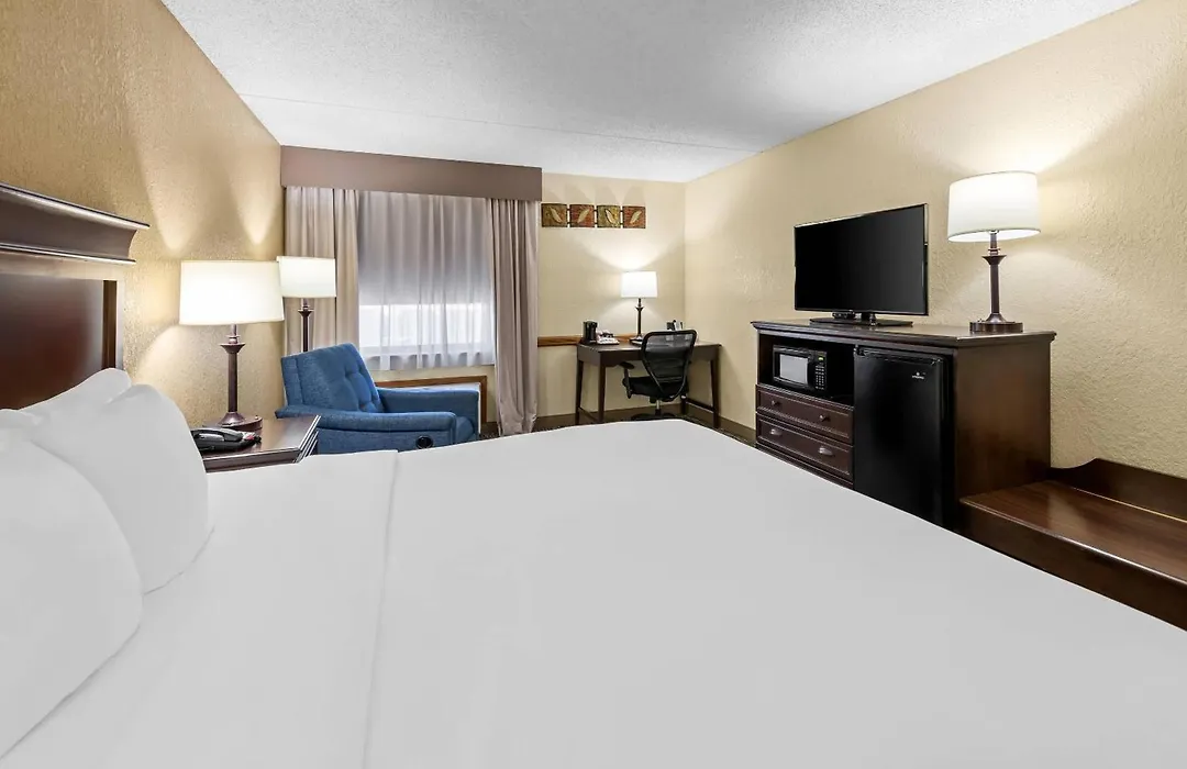 Comfort Inn At Thousand Hills-1