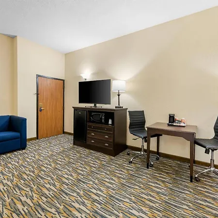 Comfort Inn At Thousand Hills-3