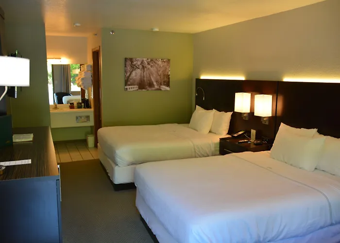 The Ozarker Lodge Branson